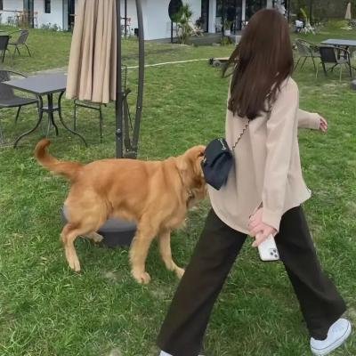 走进炮火中